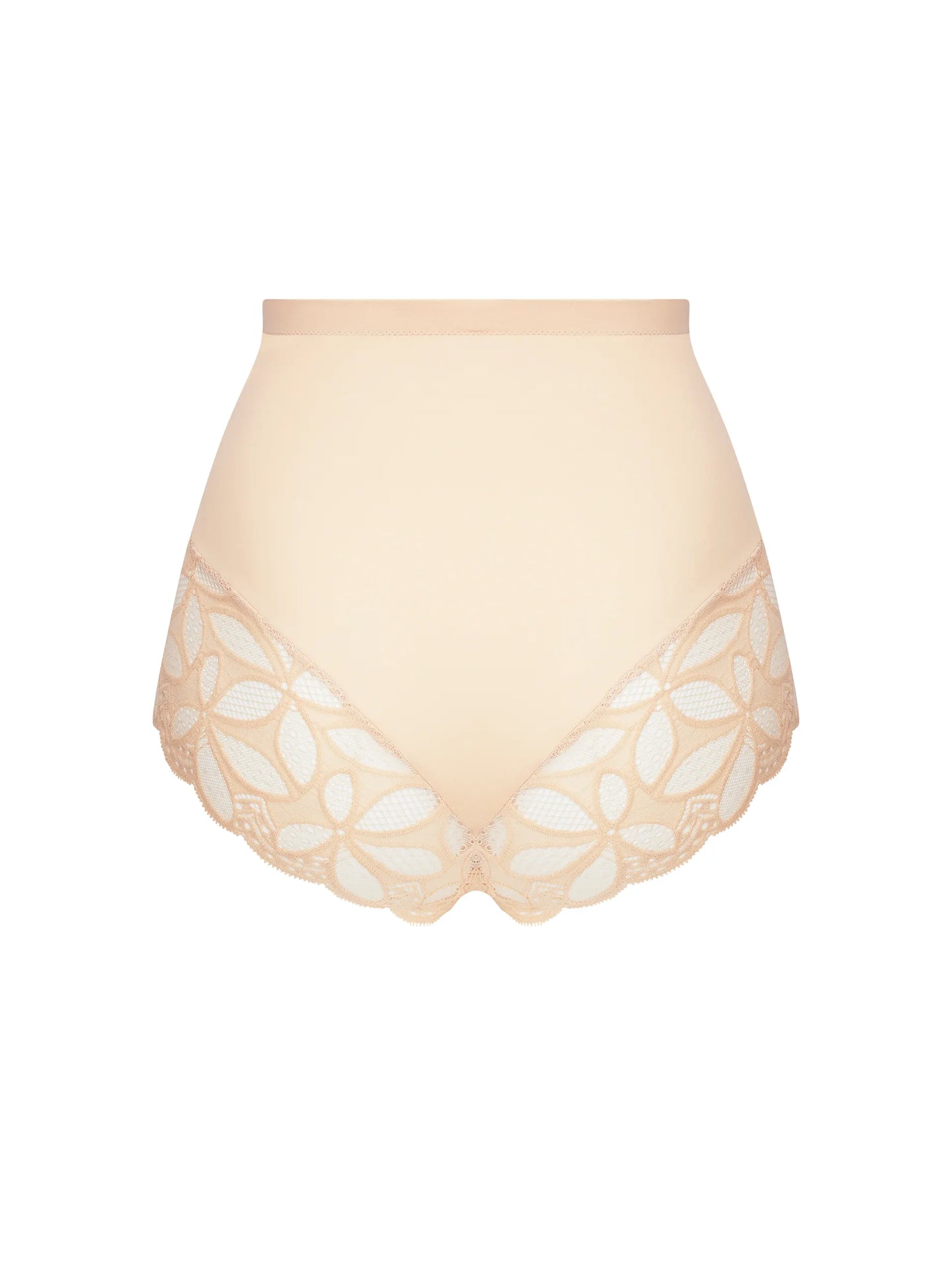 Stricto Sensuelle Light Control Brief back picture