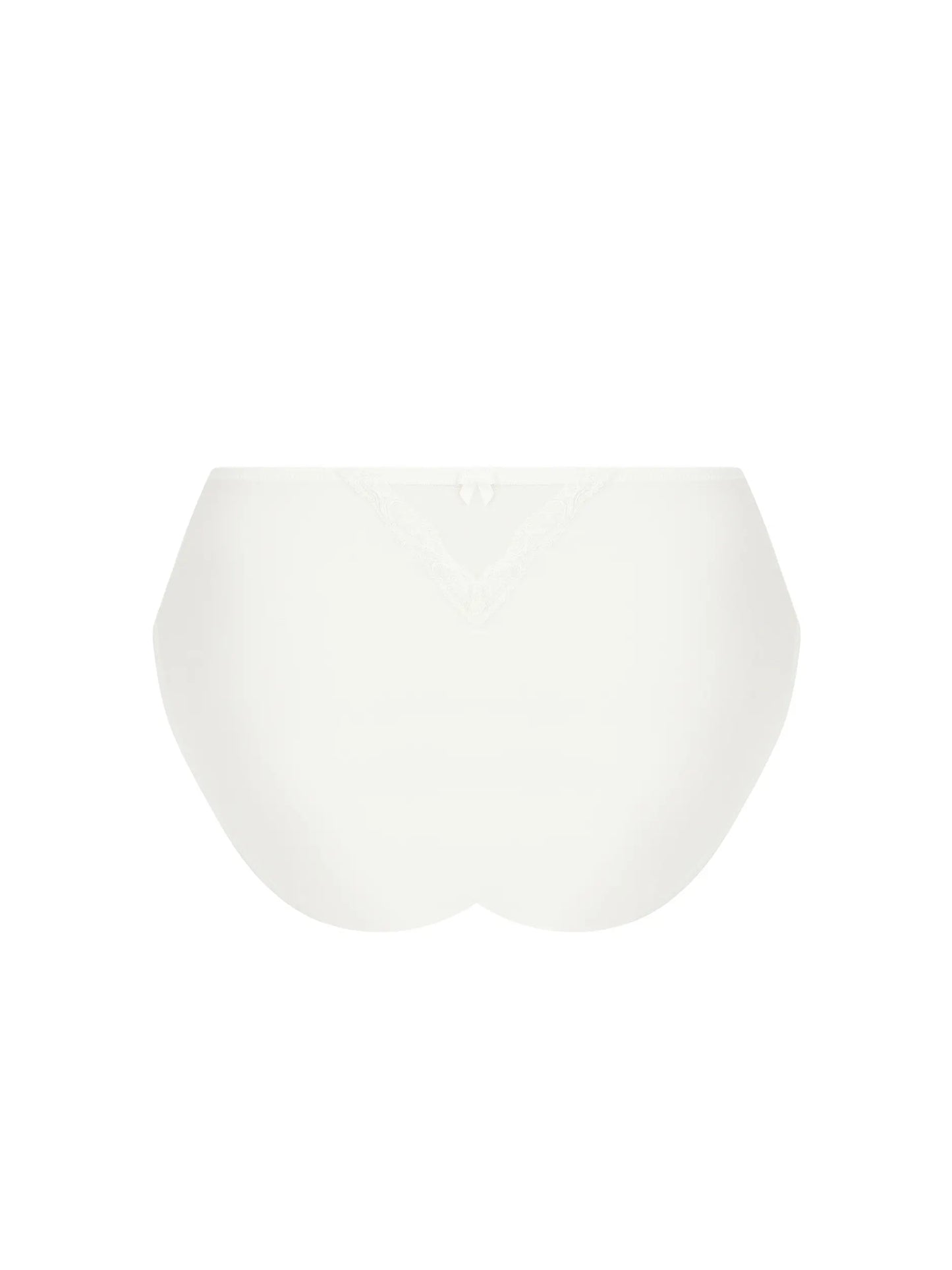 SPLENDEUR SOIE High Waist Brief