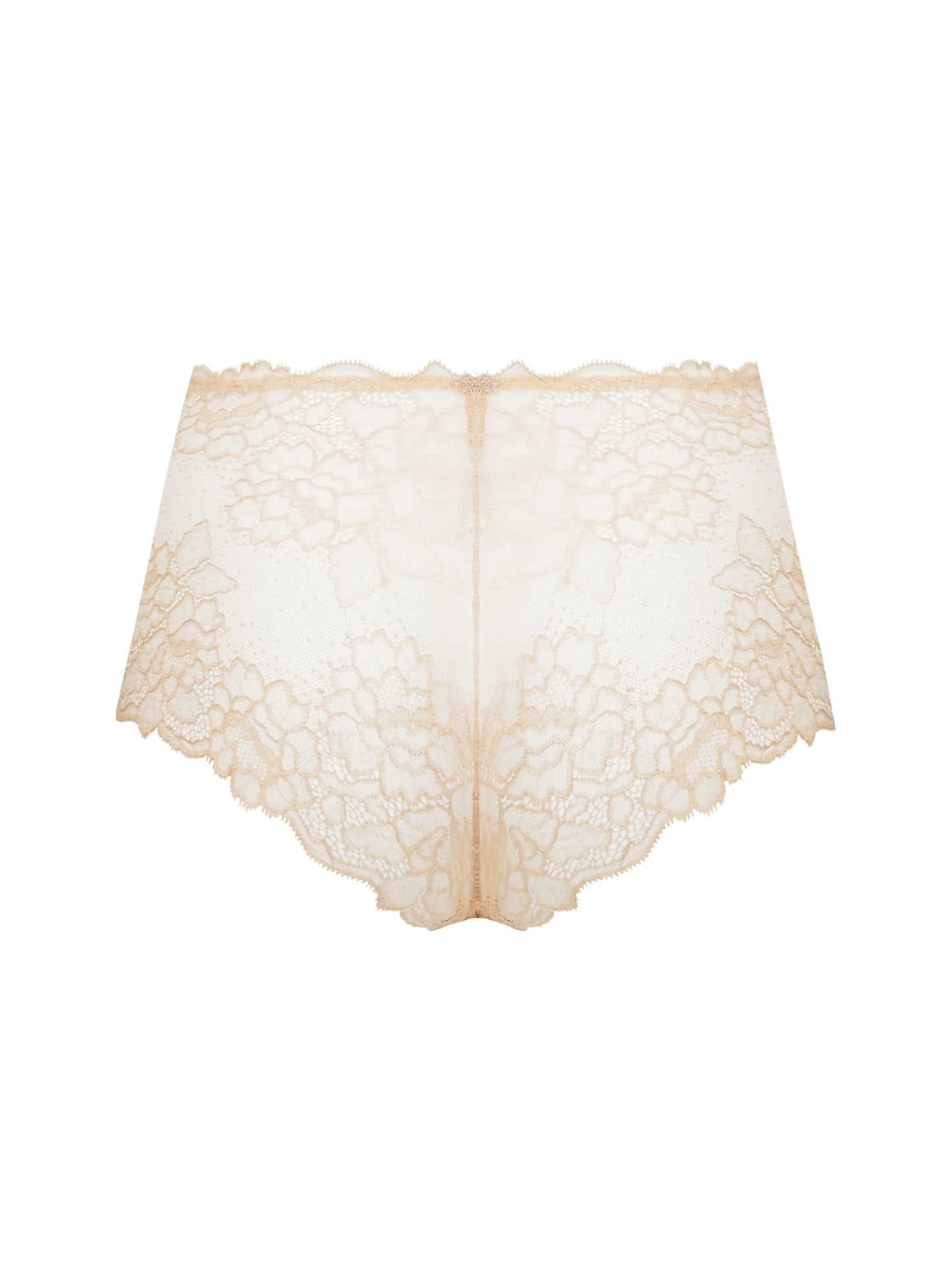 SUBLIME EN DENTELLE Retro Brief