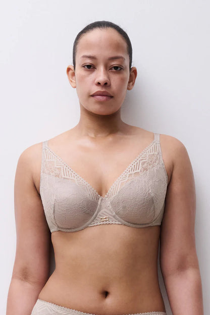 ORIGINS Lace Plunge Bra